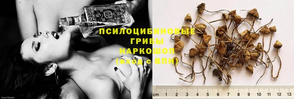 эйфоретик Алексин