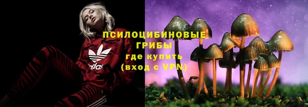 винт Алексеевка