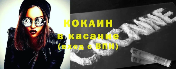 твердый Кукмор