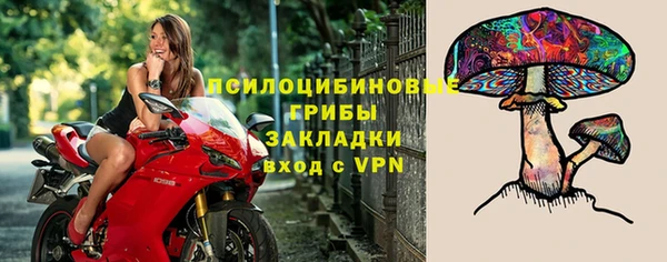 эйфоретик Алексин