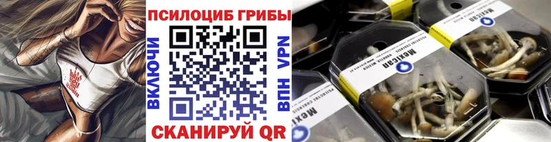 купить закладку Малаховка Псилоцибиновые грибы прущие грибы